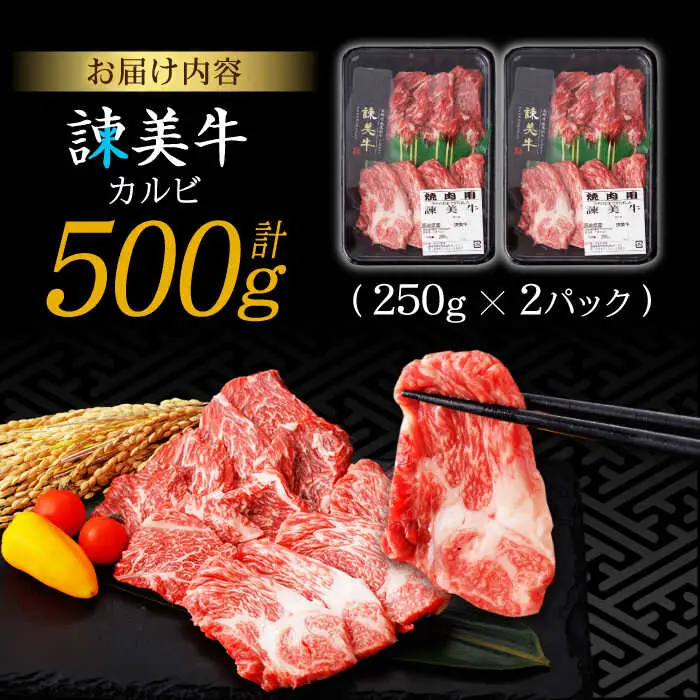 【特Aのブランド米で育てた】諫美牛 カルビ 500g(250g×2) / 牛肉 ぎゅうにく 和牛 牛 肉 国産 かるび 焼肉 やきにく / 諫早市 / 株式会社土井農場 [AHAD091]