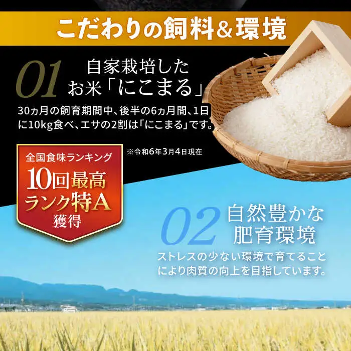 【特Aのブランド米で育てた】諫美牛 しゃぶしゃぶ・すき焼き用 500g(250g×2) / 牛肉 ぎゅうにく 和牛 牛 肉 国産 しゃぶしゃぶ すき焼き / 諫早市 / 株式会社土井農場 [AHAD092]