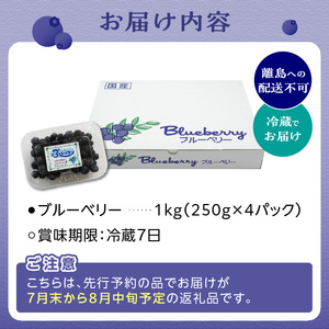 【2026年発送】 先行予約 国産 ブルーベリー 1kg フルーツ ベリー 果物 小分け  080-01