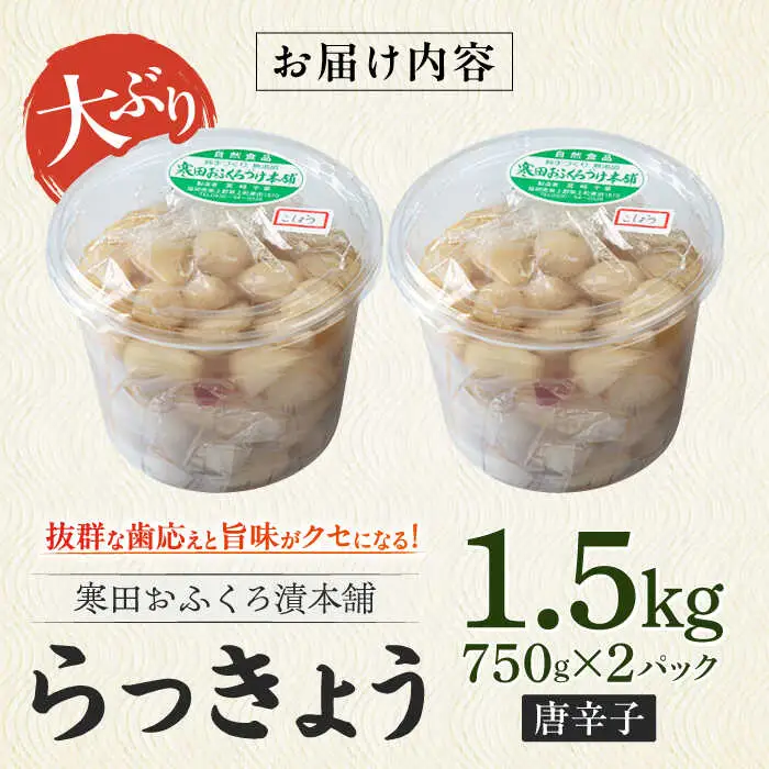 らっきょう 1.5kg（唐辛子）らっきょ ラッキョウ 辣韭 [ABDO003]