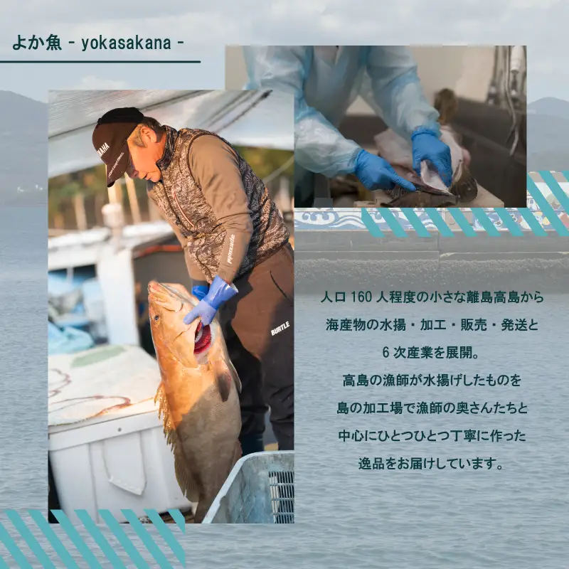 九十九島ヒラマサと高島コロダイの照り焼き