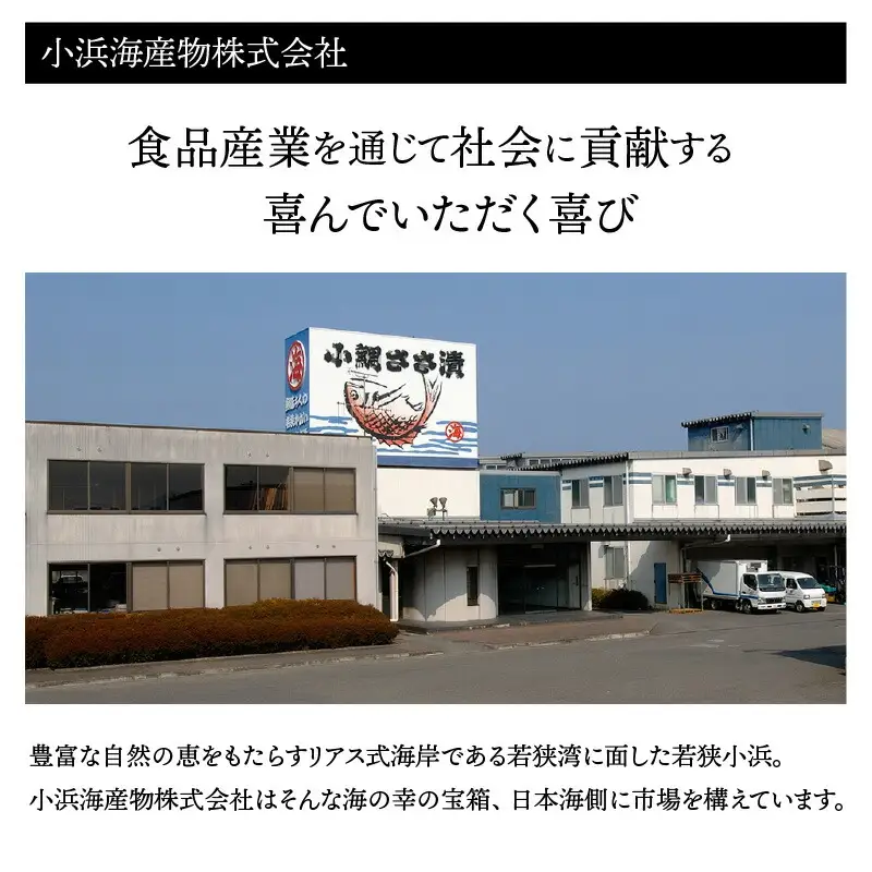 旬鮮お刺身 福井サーモン  [BFAA071] 【配送不可地域：北海道・沖縄・離島】 