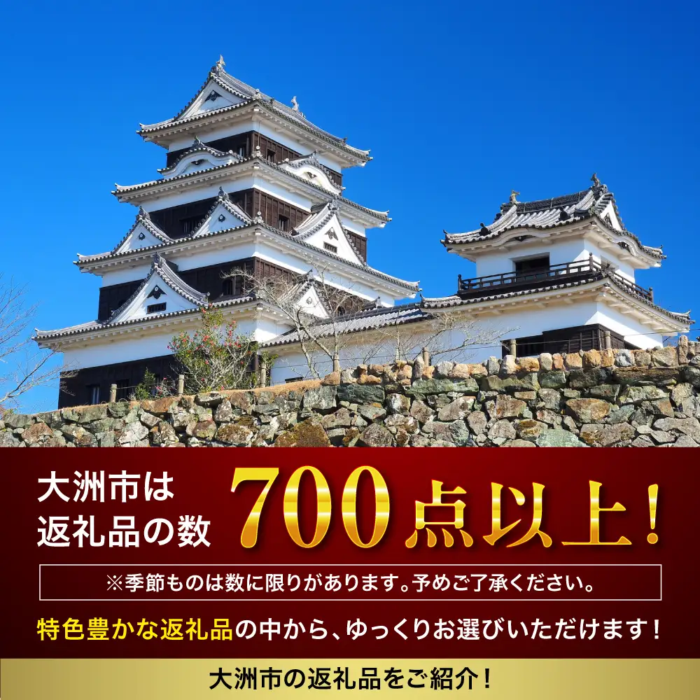 ギフト【あとから選べる】ふるさとギフト 100万円分 ギフト[AGXX026]