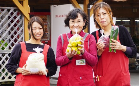 6回お届け　季節の旬野菜詰合せ