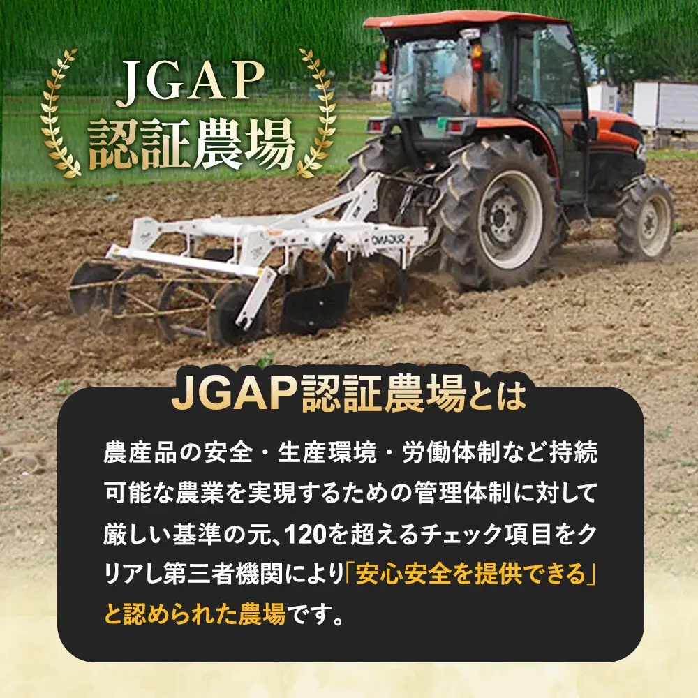 金のいぶりがっこ スライス140g×5袋