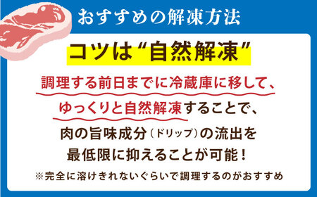 【全3回定期便】佐賀牛焼肉セット（モモカタ赤身/肩ロース）【吉祥】 HCW009 赤身