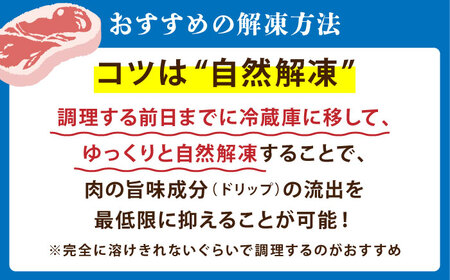 【全12回定期便】佐賀牛焼肉セット（モモカタ赤身/肩ロース）【吉祥】 HCW011 焼肉 BBQ