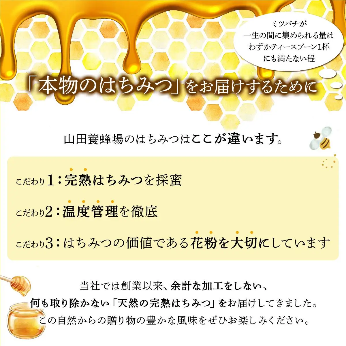 山田養蜂場　里山の百花蜂蜜300g（プラ容器入）×2本 （64231）【006-a065】【山田養蜂場】