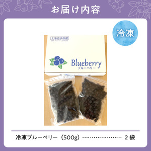 【2026年11月以降発送】冷凍ブルーベリー 500g×2袋（チャック付き袋） 北海道産ブルーベリー 余市産ブルーベリー  ブルーベリー 1kg フルーツ 冷凍フルーツ 果物__Y111-0007