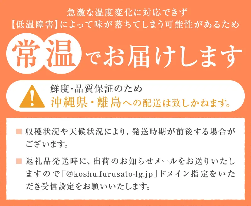 甲州市産厳選大粒シャインマスカット約1.2kg 2～3房×2箱【2026年発送】（MG）C1-480 シャインマスカット フルーツ