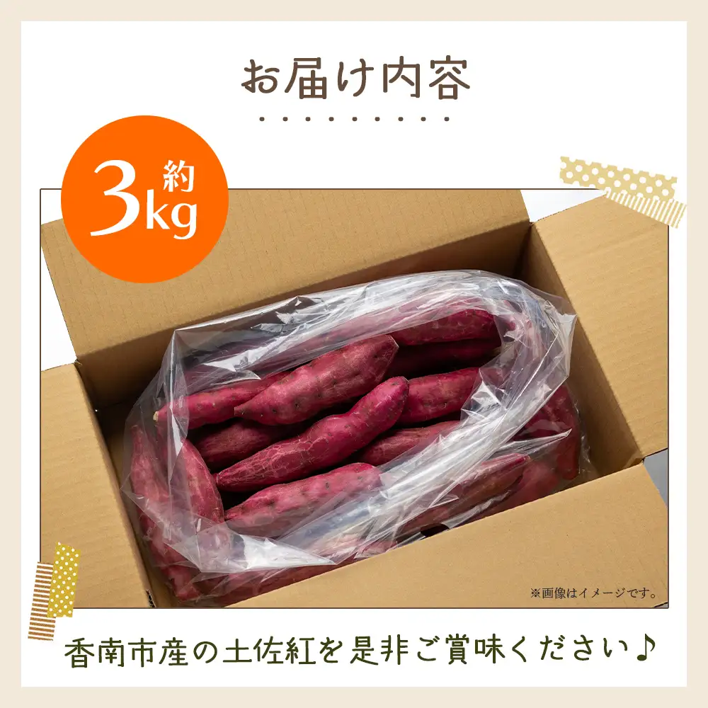 【８月発送開始】さつまいも（土佐紅）3kg - サツマイモ さつま芋 野菜 焼き芋 やきいも 焼いも おやつ スイーツ スイートポテト バター焼き アレンジ 料理 国産 高知県 香南市 yr-0043