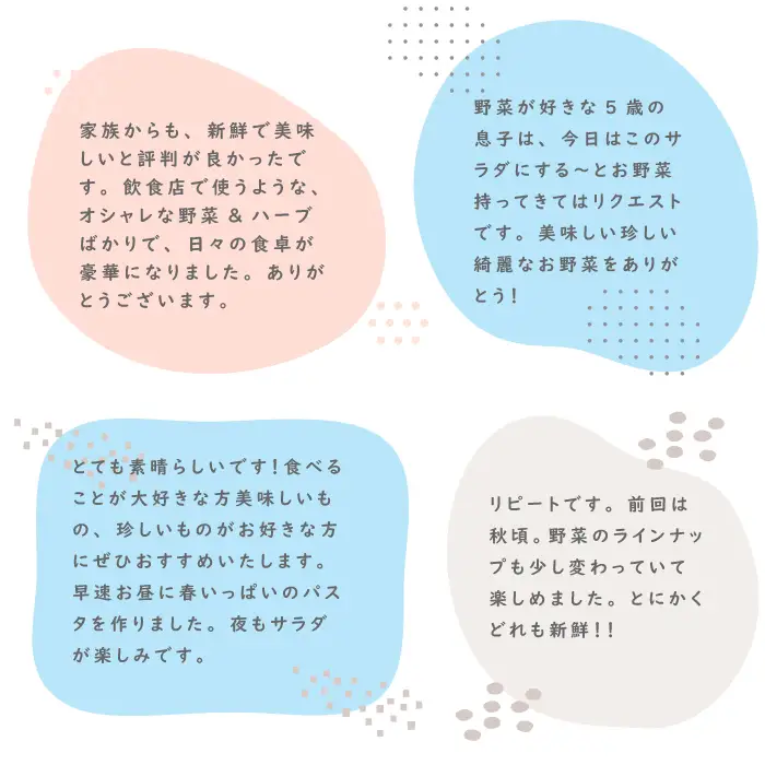 【定期便】彩り野菜と香るハーブセット　3回お届け　野菜