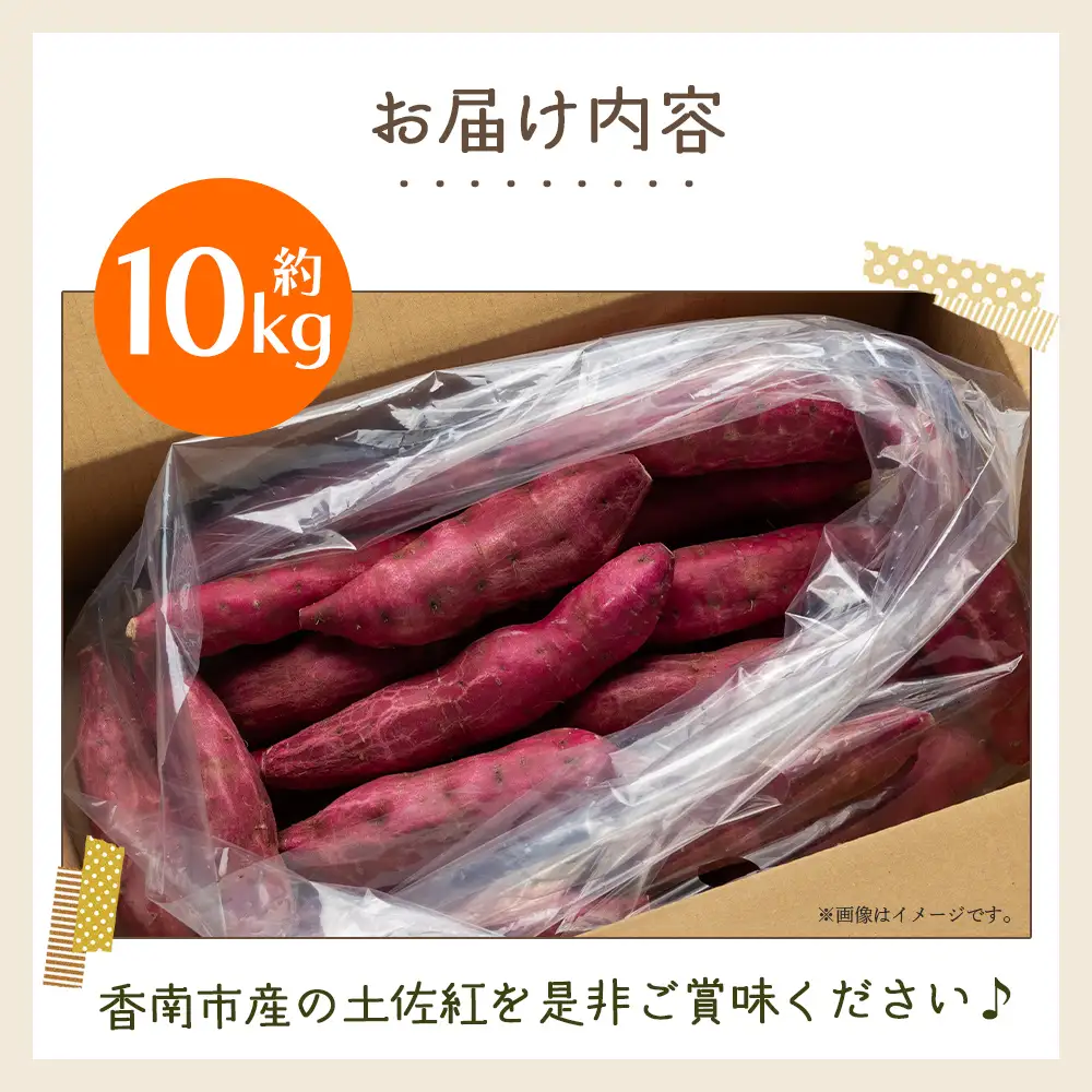 【８月発送開始】さつまいも（土佐紅）10kg - サツマイモ さつま芋 野菜 焼き芋 やきいも 焼いも おやつ スイーツ スイートポテト バター焼き アレンジ 料理 国産 高知県 香南市 yr-0146