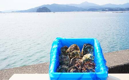 大福丸の殻付き牡蠣 10個 【三陸山田産】【沖縄・離島配送不可】三陸山田 山田町 山田湾 海産品 かき YD-720