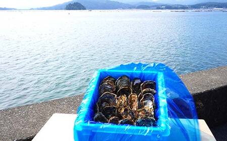 大福丸の殻付き牡蠣 20個 【三陸山田産】【沖縄・離島配送不可】三陸山田 山田町 山田湾 海産品 かき YD-721
