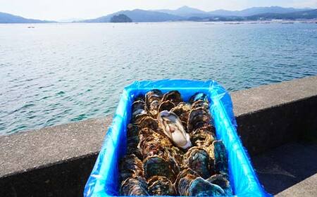 大福丸の殻付き牡蠣 30個 【三陸山田産】【沖縄・離島配送不可】三陸山田 山田町 山田湾 海産品 かき YD-722