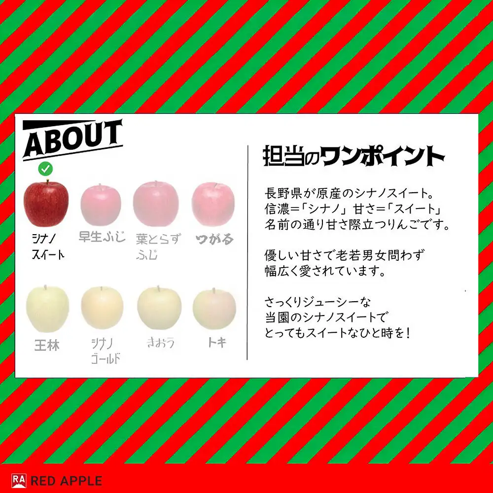 【26年10月中旬～発送】りんご【訳あり】家庭用 シナノスイート 約2.5kg 先行受付