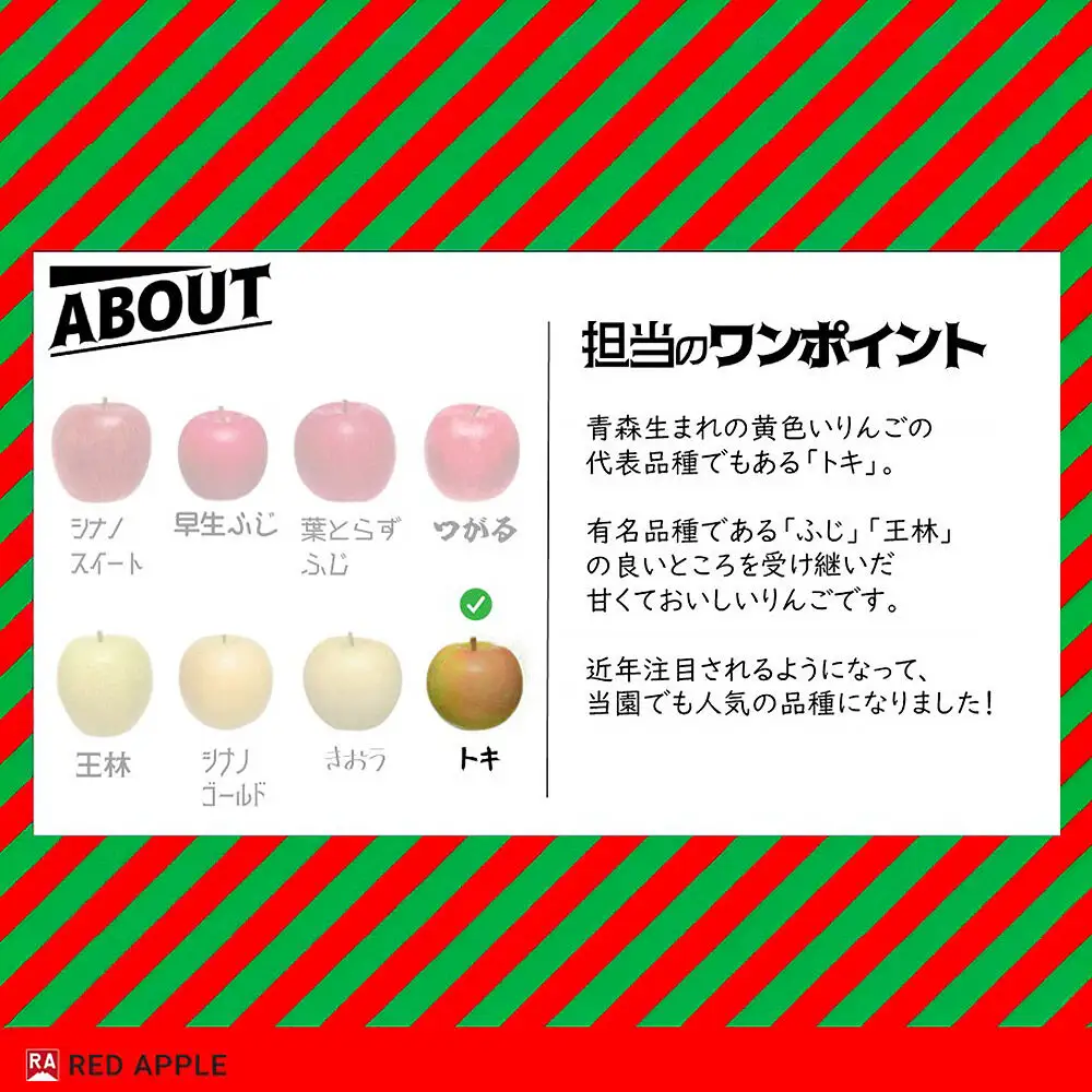【26年10月中旬～発送】りんご【訳あり】家庭用 トキ 約2.5kg 先行受付