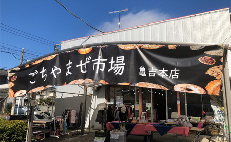 体験チケット 湘南エリア ランチとお土産付き 亀吉 見学ツアー 体験