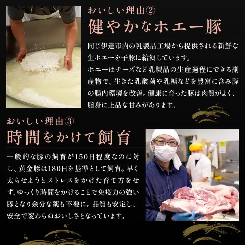 [5525-1092]北海道 伊達 黄金豚 ハンバーグ 100g×10個（計1kg） 小分け 真空 お肉 豚肉