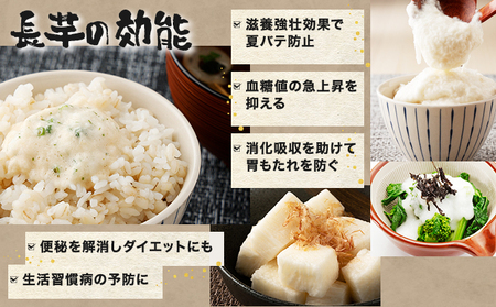 ねばりまこと芋（ネバリスター）1.5kg　（真空パック包装）【青森県 七戸町 送料無料 長芋 山芋 イチョウ芋 大和芋 粘り 小分け 個包装 便利 プレーン 無添加 とろろ 栄養 ご飯のお供】【02402-0323】