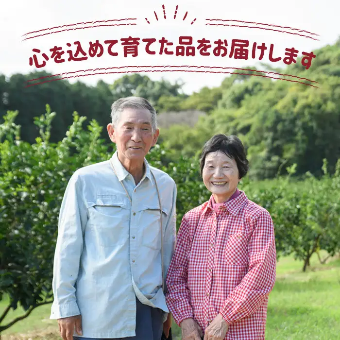 ＜令和7年産＞ひのひかり 白米 (5kg) お米 ごはん ご飯【107101003】【あいはな農園】