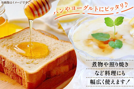はちみつ 国産 トチはちみつ 2kg