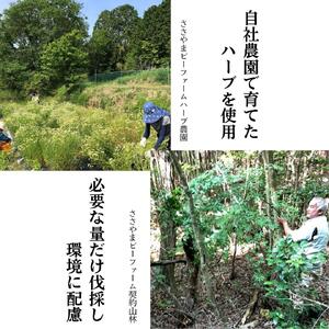 篠山精油ハーブウォーター 化粧水 芳香蒸留水 3本 各100ml BEE002