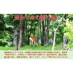 鹿焼肉タレ漬け 140g×6袋 AWA WILD MEAT 
