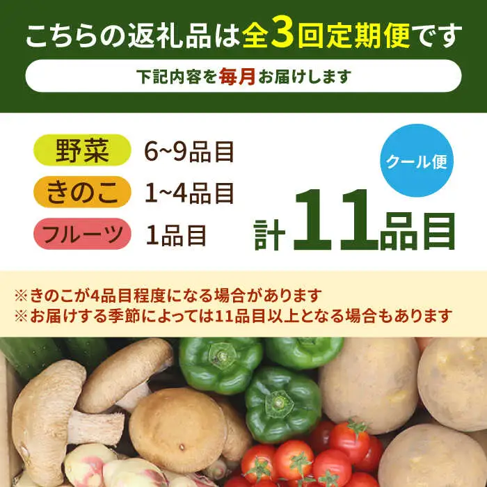 【毎月コース】野菜 キノコ 果物 11品目 詰め合わせ 3回定期便 / やさい定期便 野菜定期便 野菜セット やさいセット 春野菜 夏野菜 秋野菜 冬野菜 / 南島原市 / 吉岡青果[SCZ022]