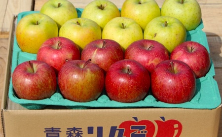 りんご 【 3月発送 】 糖度13度～家庭用 サンふじ ・ 王林 詰め合わせ 約 5kg