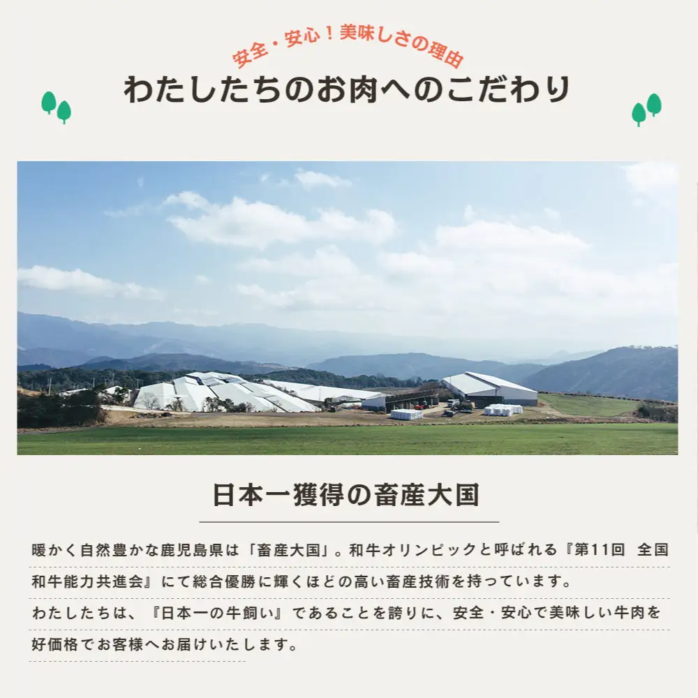 【厳選部位】A5等級 鹿児島県産 黒毛和牛 しゃぶしゃぶ・すき焼き用スライス 400g お肉 牛肉 すきやき すき焼き しゃぶしゃぶ 小分け 冷凍 カミチク