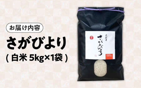 令和7年産米 さがびより 5kg /株式会社 y's company（utsu和ya）[UDX016] さがびより