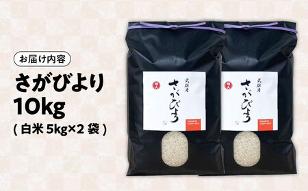 令和7年産米 さがびより 10kg /株式会社 y's company（utsu和ya）[UDX017] さがびより