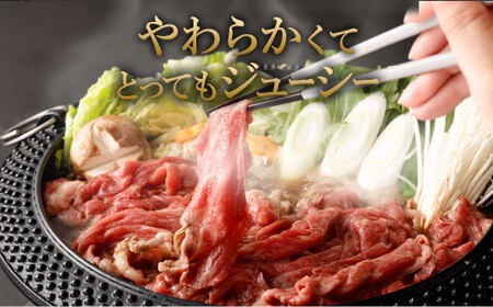 【数量限定 訳あり】【A4・A5】 博多和牛 切り落とし 約300g×2パック 合計約600g 牛肉 和牛 肉 お肉 国産 冷凍 岡垣町