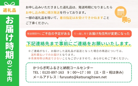 米粉パン グルテンフリー米粉パン【U001-ffdm001】