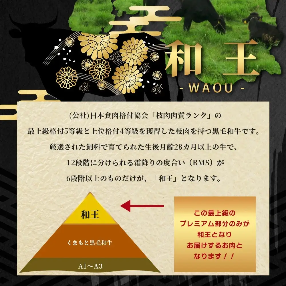 くまもと黒毛和牛【 和王 】ミンチ 500g×3パック 計1.5kg《 ブランド牛 挽肉 ミンチ上質 旨味 大容量 小分け 冷凍 熊本県 》113-0602