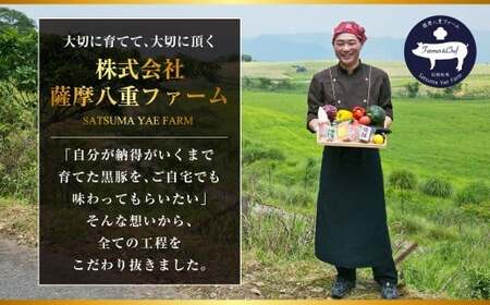 BS-545 かごしま黒豚モモ肉スライス 1kg×隔月3回定期便