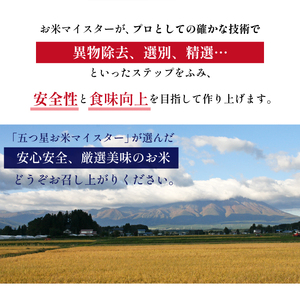 五ツ星お米マイスター 厳選 雫石町産 あきたこまち 精米 10kg 1袋 【諏訪商店】 米 こめ コメ 白米 ご飯 ごはん ライス グルメ 食料 五つ星 5つ星 5ツ星 お米 マイスター 10キロ 国産 岩手県産 産地直送 プレゼント お取り寄せ 仕送り 人気 おすすめ