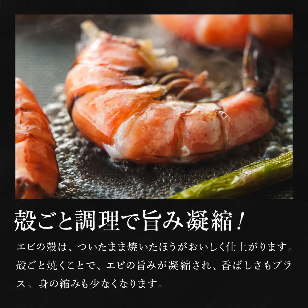 【12回定期便】特大 ブラックタイガー 無頭えび 570g前後（15尾）×12回