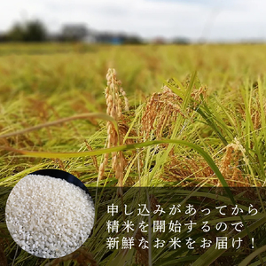 R7年産先行予約 定期便 30kg 10kg×3回 特別栽培米 コシヒカリ コンテスト 入賞米 米 おこめ お米 ブランド米 ご飯 ごはん オニギリ お弁当 玄米 対応可 kome  5kg 2袋  送料無料 数量限定 農家直送 産地直送 国産 川瀬農園 新潟 新発田 kawase3002