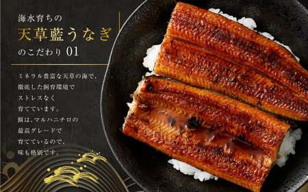 【数量限定】 【訳あり】 【ミシュラン星付きのプロが愛用】海水育ちの 天草 藍うなぎ 小ぶり 蒲焼 1kg（7～10尾）  養殖期間中 無投薬 鰻 ウナギ うなぎ うなぎ蒲焼 鰻の蒲焼 国産 【2026年6月下旬より順次発送予定】