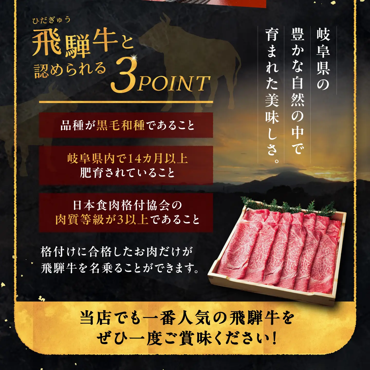 【12回定期便】 飛騨牛ロース800g 三浦豚ロース300g 豪華しゃぶしゃぶセットA 各種類1パック / 恵那市 / 岩島屋 [AUAJ047]