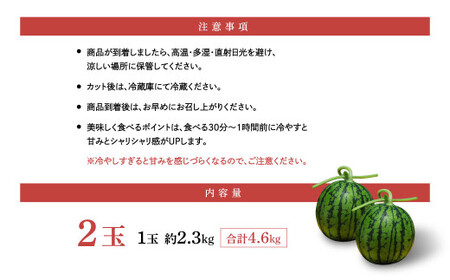 ＜ R8年熊本地震復興支援 ＞植木ブランド 小玉すいか 約2.3kg 2玉 ひとりじめ 春スイカ 植木 スイカ 西瓜 果物 フルーツ セット 【2027年5月上旬～5月下旬迄順次発送予定】