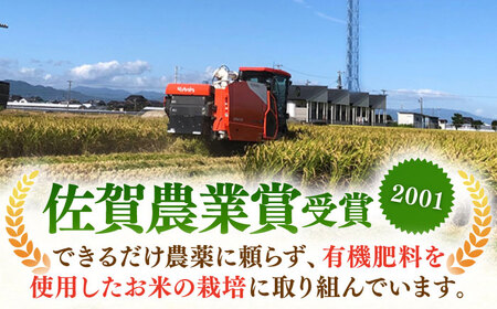 さがびより 玄米 10kg（5kg×2袋）【ももさき農産】特A 特A評価 [HCG015]玄米