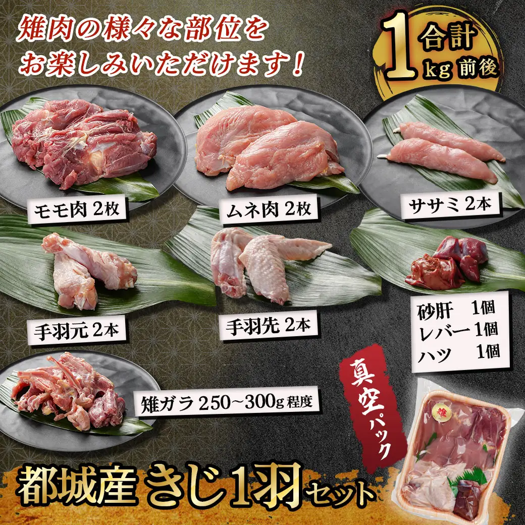 【夢屋】都城産きじ1羽セット(真空パック)〔21-N101〕_(都城市) 都城産キジ肉 1羽 もも身 むね身 手羽 ささみ セット 雉 雉肉 きじ肉 部位ごと小分け 部位 食べ比べ 高タンパク 低カロリー