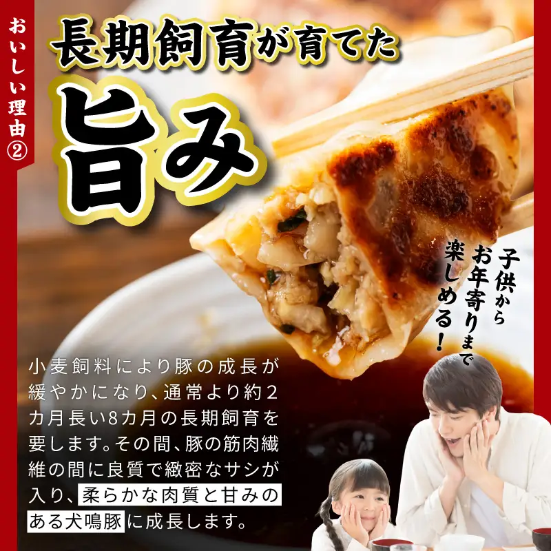 犬鳴豚餃子 75個