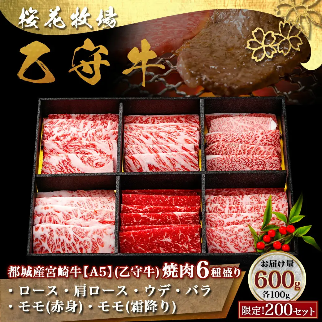 ≪限定200セット≫隔月6回お届け!【宮崎牛A5】焼肉6種盛り(乙守牛）〔T192-6-6501〕_(都城市) 都城産宮崎牛 A5 焼肉6種盛 各100g ロース/肩ロース/ウデ/バラ/モモ(赤身)/モモ(霜降り) 隔月6回お届け