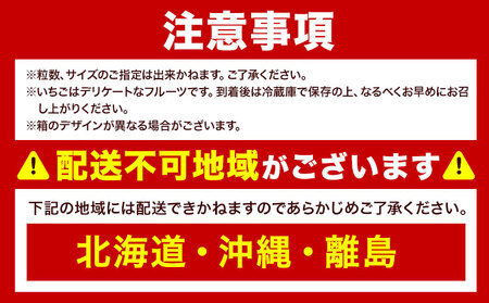 福岡県産あまおうギフト箱 & ふくや味の明太子 540g 南国フルーツ株式会社《12月上旬-3月末頃出荷》福岡県 小竹町 あまおう いちご めんたいこ 明太子 セット 送料無料【配送不可地域あり】