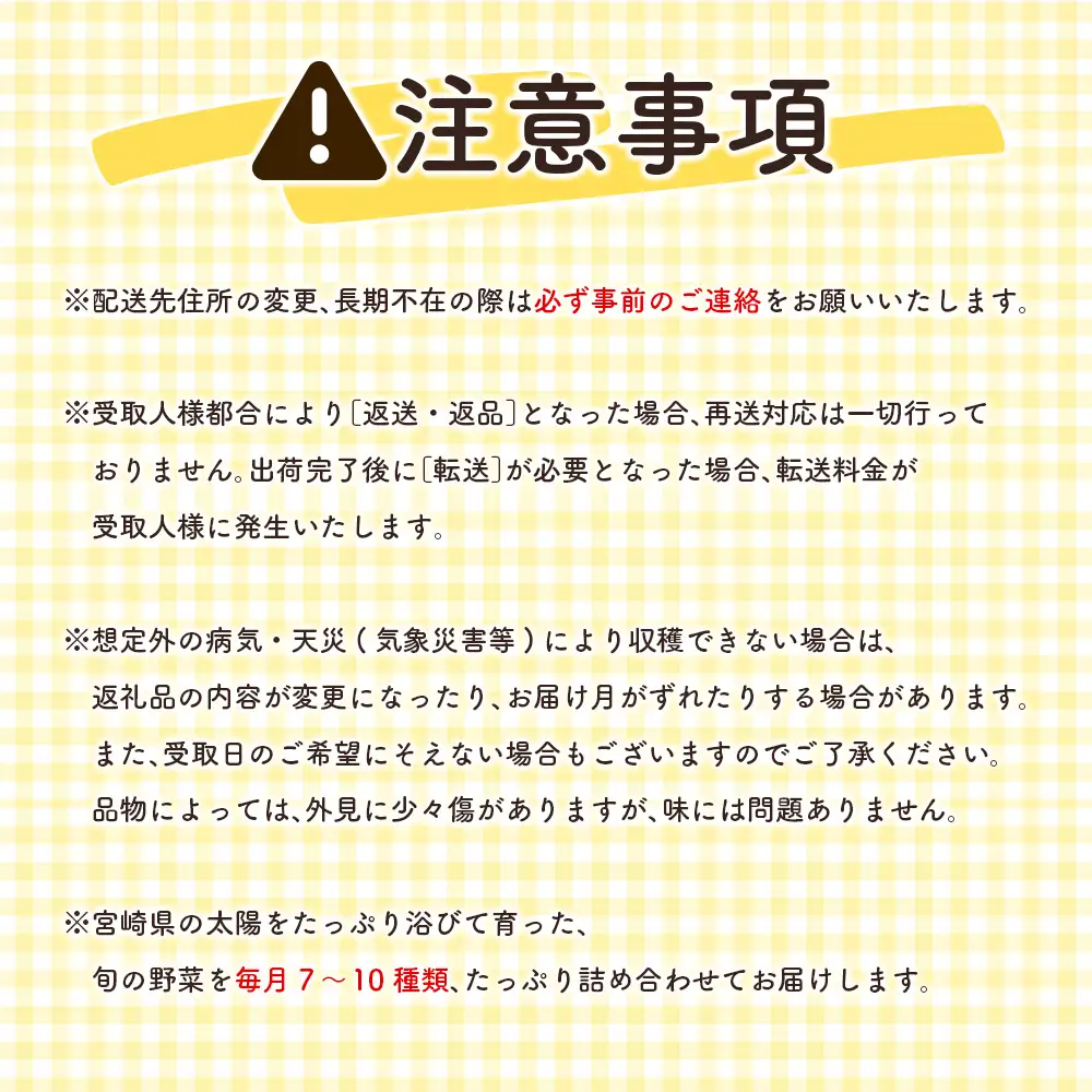 【12か月】野菜定期便 2027年出荷 野菜セット G51-27